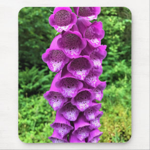 Foxglove Flowers, Oregon Muismat