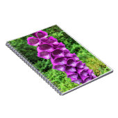Foxglove Flowers, Oregon Notitieboek (Rechterzijde)