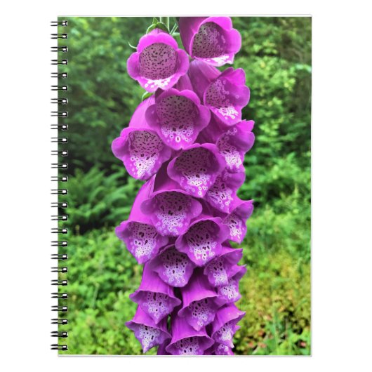 Foxglove Flowers, Oregon Notitieboek (Voorkant)