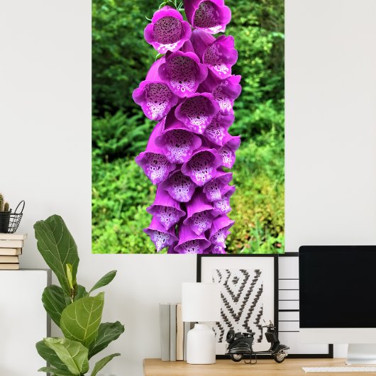 Foxglove Flowers, Oregon Poster (Thuiskantoor)