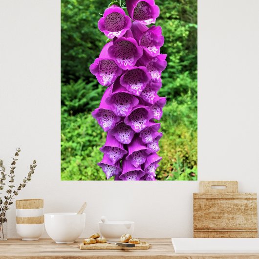 Foxglove Flowers, Oregon Poster (Keuken)