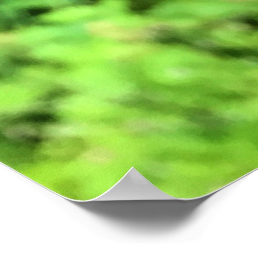 Foxglove Flowers, Oregon Poster (Hoek)