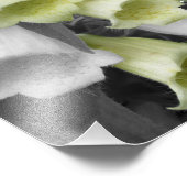 Foxglove Flowers Partiële Kleur 8x10 Foto Afdruk (Hoek)