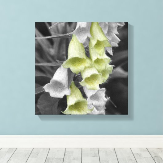 Foxglove Flowers Partiële kleur Canvas Afdruk (Insitu (Houten vloer))