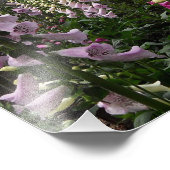Foxglove Garden Foto Afdruk (Hoek)