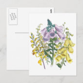  Foxglove-illustratie Briefkaart (Voorkant / Achterkant)