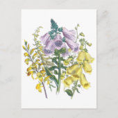  Foxglove-illustratie Briefkaart (Voorkant)