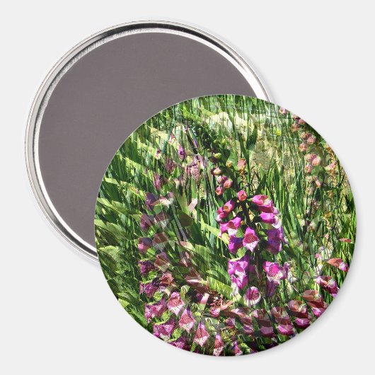 Foxglove Love..... Magneet (Voorkant / Achterkant)