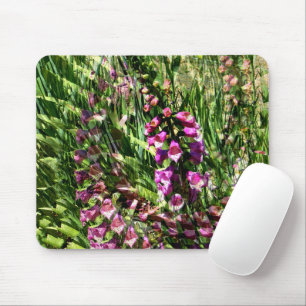 Foxglove Love..... Muismat
