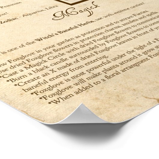 FOXGLOVE MAGICK HERB POSTER (Hoek)