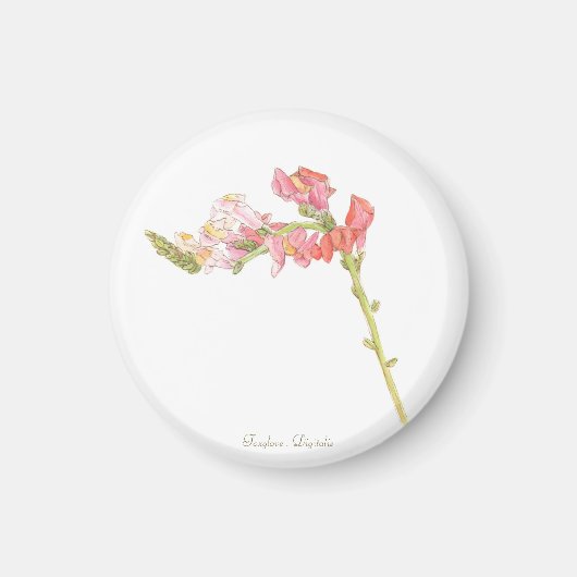 Foxglove Magnet (Voorkant)
