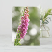 Foxglove Natuur Foto Kaart (Staand voorkant)