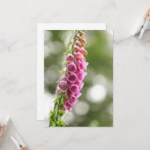 Foxglove Natuur Foto Kaart (Voorkant / Achterkant in situ)
