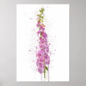 Foxglove Poster (Voorkant)