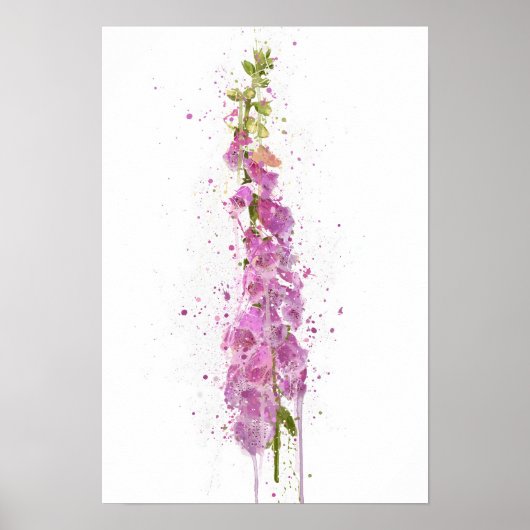 Foxglove Poster (Voorkant)