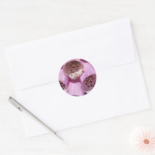 Foxglove Stickers (Envelop)