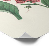 Foxglove Wildflower Botanische bloem Poster (Hoek)