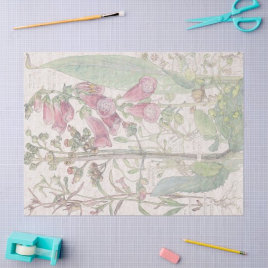  Foxglove Wildflower Flowers Tissue Paper Tissuepapier (Craft)