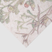  Foxglove Wildflower Flowers Tissue Paper Tissuepapier (Detail)