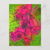 FOXGLOVES BRIEFKAART (Voorkant)