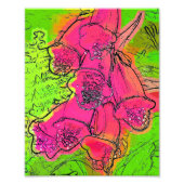 FOXGLOVES FOTO AFDRUK (Voorkant)