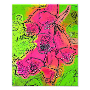 FOXGLOVES FOTO AFDRUK