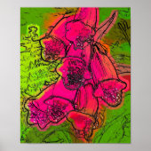FOXGLOVES POSTER (Voorkant)