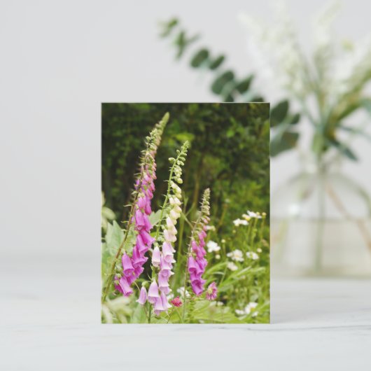 Foxhandschoenen Briefkaart (Staand voorkant)