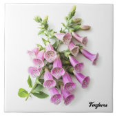 Foxhandschoenen Tegeltje (Voorkant)