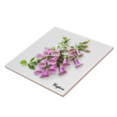 Foxhandschoenen Tegeltje (Zijkant)