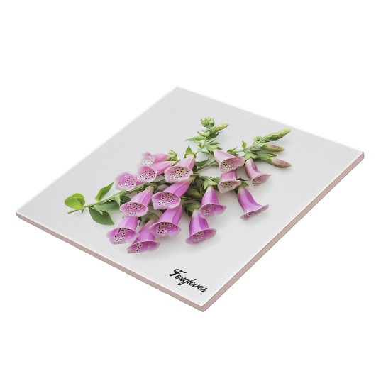 Foxhandschoenen Tegeltje (Zijkant)