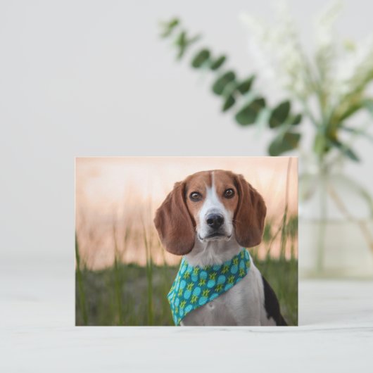 Foxhound-Briefkaart Feestdagenkaart (Staand voorkant)