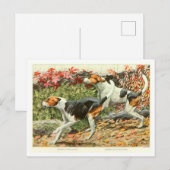 Foxhound Dogs Postcard Briefkaart (Voorkant / Achterkant)