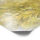 Foxhound Foto Afdruk (Hoek)