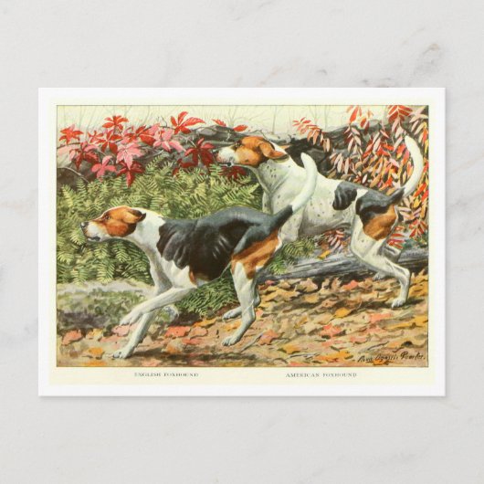 Foxhound Honden Ansichtkaart Briefkaart (Voorkant)