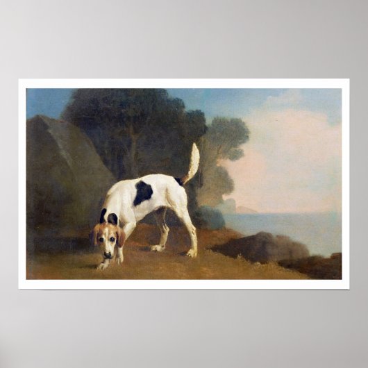 Foxhound on the Scent, c.1760 (olie op papier gego Poster (Voorkant)