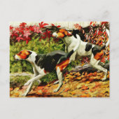 Foxhounds (Engels&Amerikaans) in herfsthout Briefkaart (Voorkant)