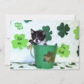 Foxi Moxi's Cat / Kitten St. Patrick's Day (Voorkant)