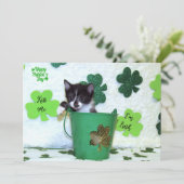 Foxi Moxi's Cat / Kitten St. Patrick's Day (Staand voorkant)