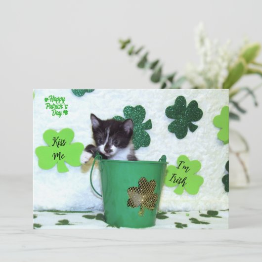 Foxi Moxi's Cat / Kitten St. Patrick's Day (Staand voorkant)