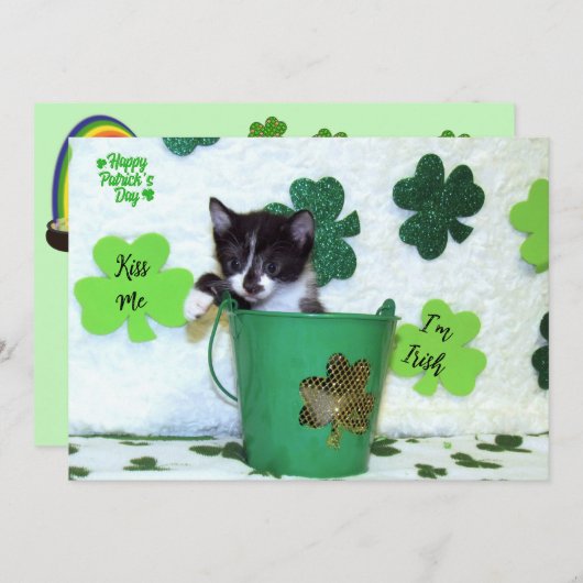 Foxi Moxi's Cat / Kitten St. Patrick's Day (Voorkant / Achterkant)