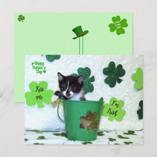 Foxie Cat St. Patrick's Day Kaart (Voorkant / Achterkant)