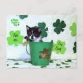 Foxie Cat St. Patrick's Day Kaart (Voorkant)