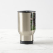 FOXJ2 REISBEKER (Center)