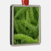 Foxtail Fern, Asparagus densiflorus myers Metalen Ornament (Rechts)