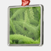 Foxtail Fern, Asparagus densiflorus myers Metalen Ornament (Links)