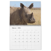 Foxy.Afrika Kalender (Feb 2026)