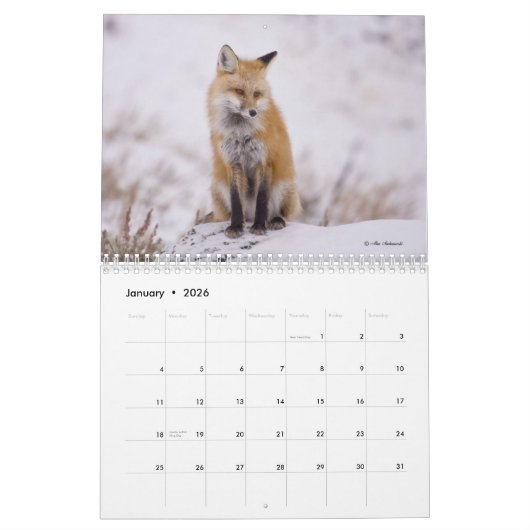 Foxy Dames (en heren) Agenda Kalender (Jan 2026)