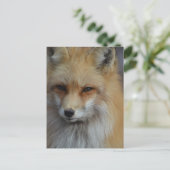 Foxy Fox Briefkaart (Staand voorkant)