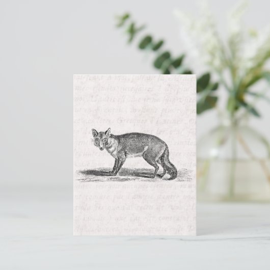  Foxy Fox Illustration - 1800's Foxes Briefkaart (Staand voorkant)